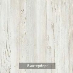ВИНТЕР - 6.16 Шкаф-купе 1600 без зеркала | фото 5