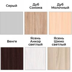 Шкаф-купе ХИТ 22-4-12/2-66 (420) | фото 3