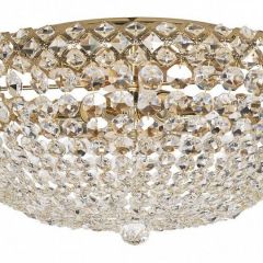 Потолочная люстра Arti Lampadari Asti Asti E 1.2.50.100 G | фото 2