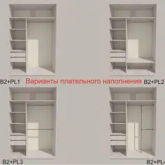 Шкаф-купе 1300 серии SILVER S3+S4+B2+PL4 (2 ящика+F обр.штанга) профиль «Серебро» | фото 6
