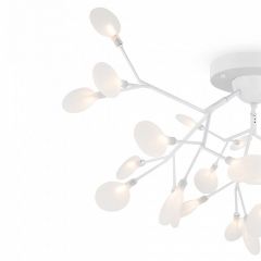 Потолочная люстра Freya Florencia FR5049CL-27W2 | фото 5