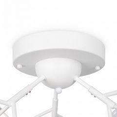 Потолочная люстра Freya Florencia FR5049CL-27W2 | фото 6