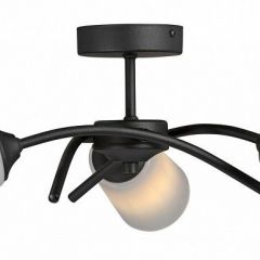 Люстра на штанге Vitaluce V2850 V2850-1/3PL | фото 3