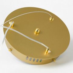 Подвесной светильник Lussole Bradford LSP-7161 | фото 6