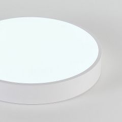Накладной светильник Natali Kovaltseva  LED LAMPS 81112/5C | фото 7