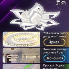 Потолочная люстра Natali Kovaltseva OLIMP LED SMART 84005 | фото 5