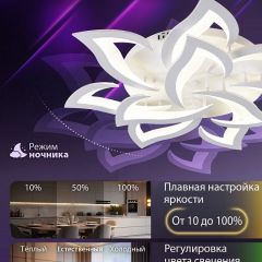 Потолочная люстра Natali Kovaltseva OLIMP LED SMART 84005 | фото 6