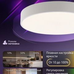 Накладной светильник Natali Kovaltseva MODERN LED LAMPS 81105/2C | фото 7
